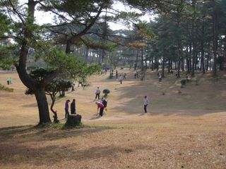 2011.11.24 053_800.jpg