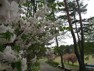 2011.4.12 001.jpg