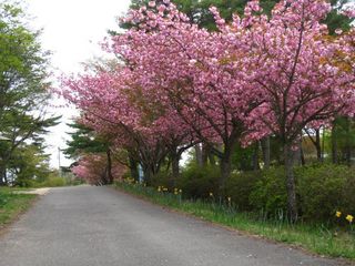 2011.4.12 002.jpg