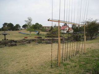 2011.4.12 006.jpg