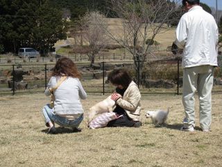 2011.4.13 063_800.jpg