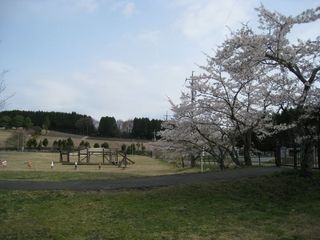 2011.4.27 002_800.jpg