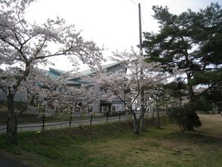 2011.4.27 003_800.jpg
