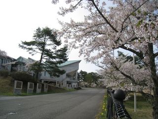 2011.4.27 004_800.jpg