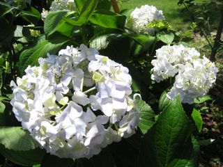 2011.7.10 016_800.jpg