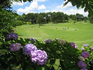 2011.7.10 017_800.jpg