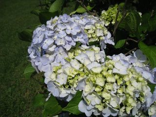 2011.7.10 018_800.jpg