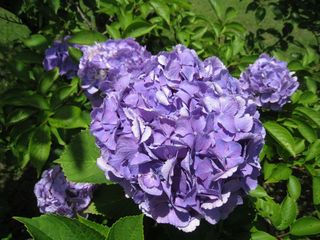 2011.7.10 020_800.jpg