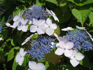 2011.7.10 028_800.jpg
