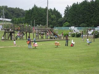 2011.7.31 033_800.jpg
