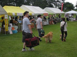 2011.7.31 057_800.jpg