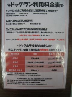 2012.7.12 011_800.jpg