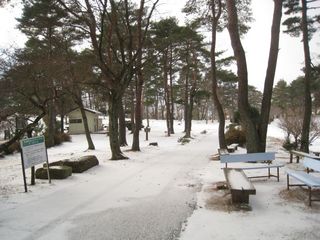 2014.1.11 001_800.jpg