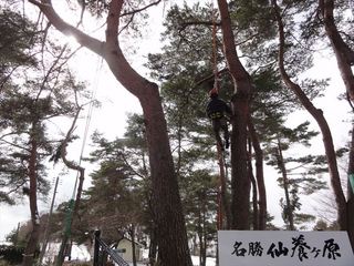 DSC03386_R.JPG