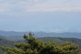 IMG_3919_800.jpg