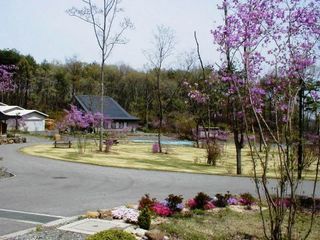 P4280011_edit_480.jpg
