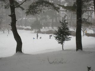yuki2012.2.18 003_800.jpg