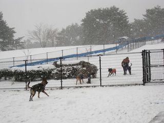 yuki2012.2.18 011_800.jpg