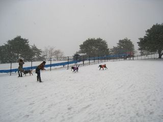 yuki2012.2.18 013_800.jpg