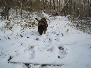 yuki2012.2.18 031_800.jpg