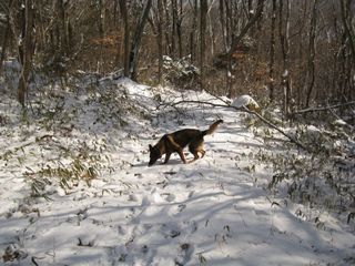 yuki2012.2.18 032_800.jpg