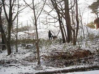 yuki2012.2.18 037_800.jpg