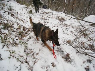 yuki2012.2.18 047_800.jpg