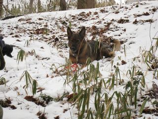 yuki2012.2.18 048_800.jpg